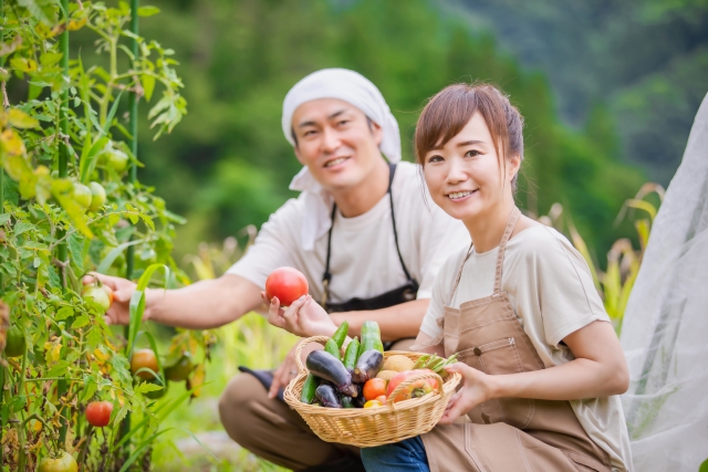 田舎暮らし 現実