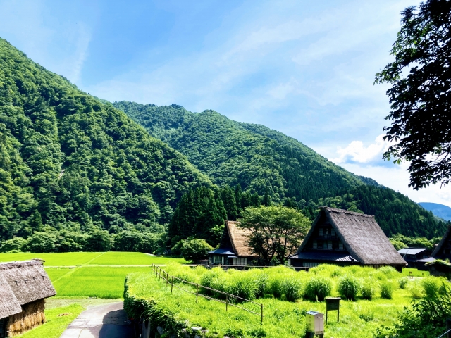 自然に囲まれた家屋