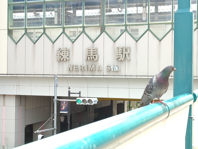 練馬区の空き家活用方法を徹底解説！自己資金0円でリノベーションし賃貸収入を得る方法とは？